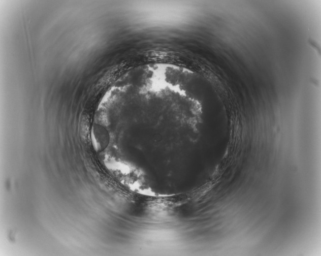 X0000100200754200806271641