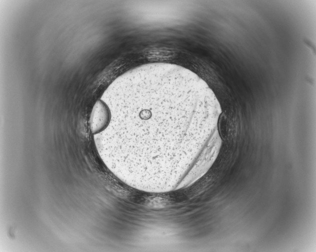 X0000100200755200806271641