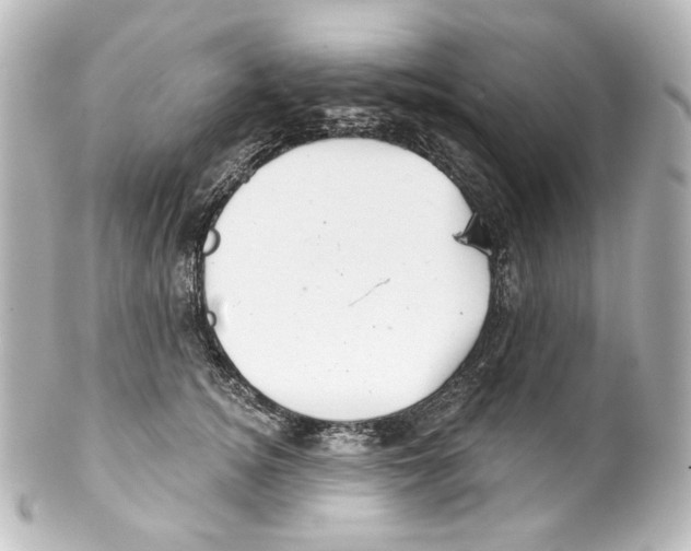 X0000100200756200806271641