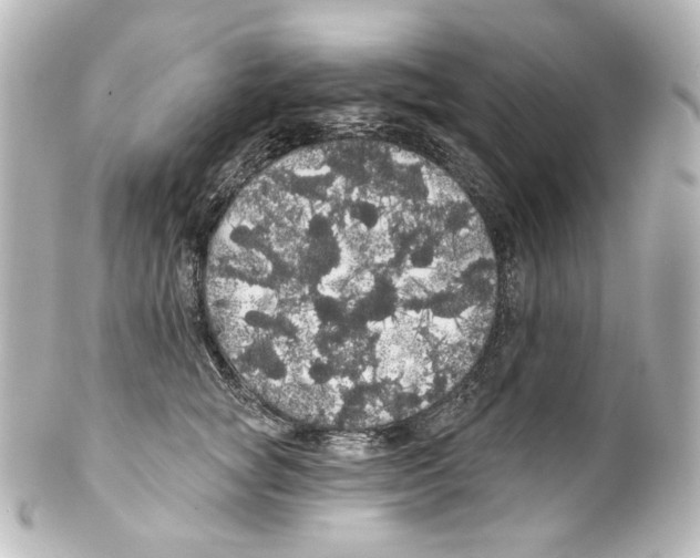 X0000100200757200806271641