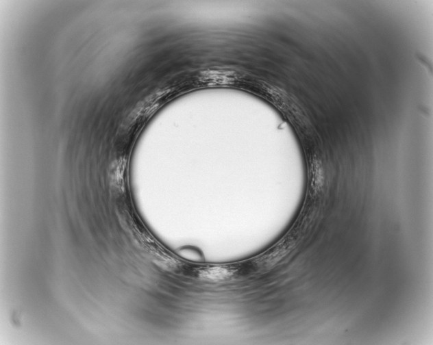 X0000100200759200806271641