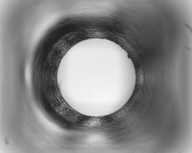 X0000100200764200806271642