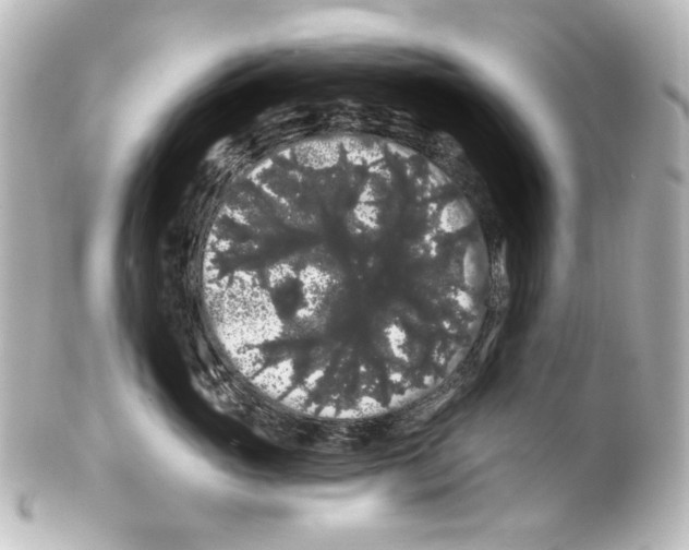 X0000100200765200806271642