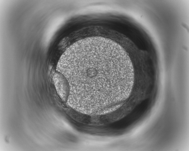 X0000100200766200806271642