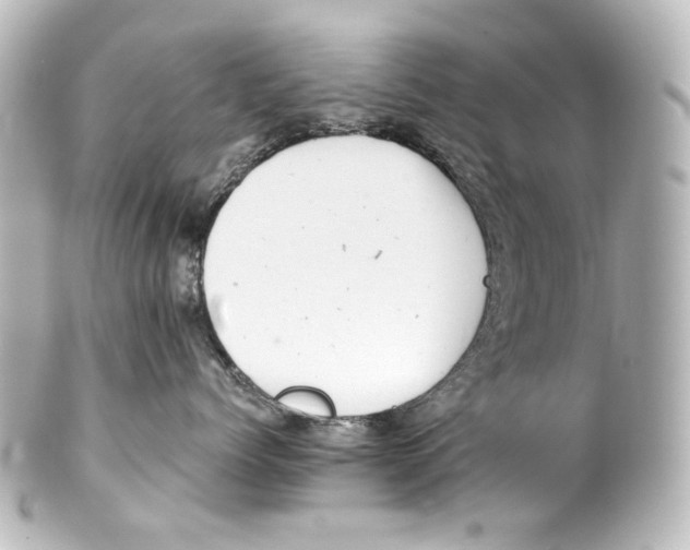 X0000100200768200806271642