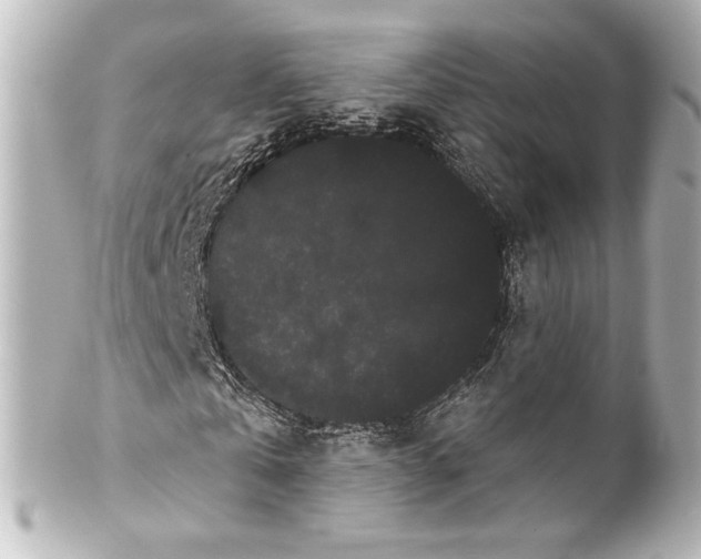 X0000100200769200806271641