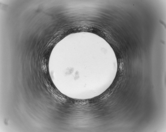 X0000100200771200806271641