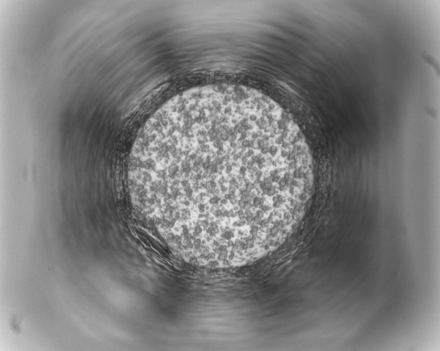 X0000100200774200806271641