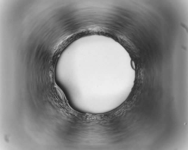 X0000100200776200806271641