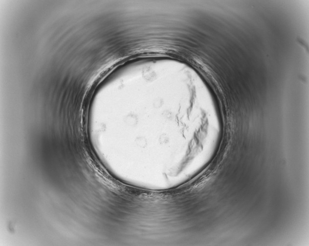 X0000100200779200806271641