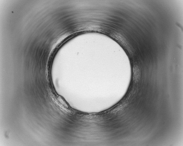 X0000100200780200806271641