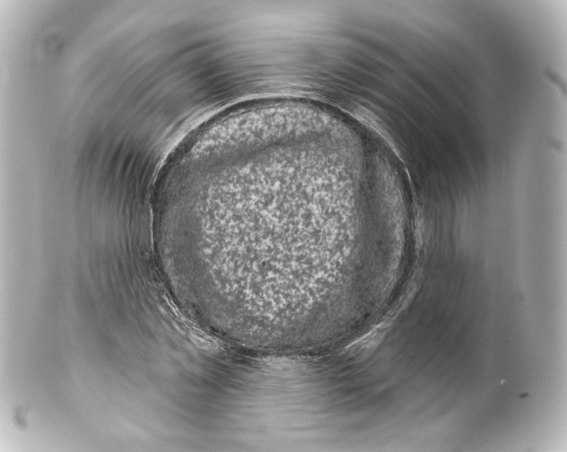 X0000100200781200806271641