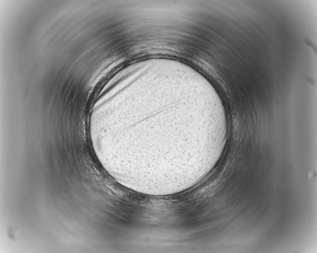 X0000100200782200806271641