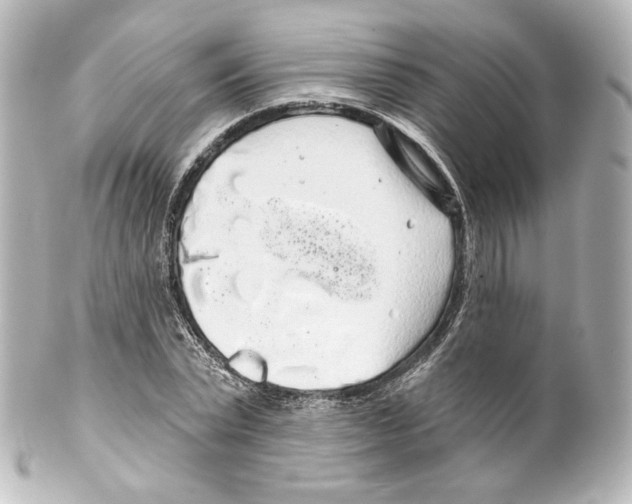 X0000100200783200806271641