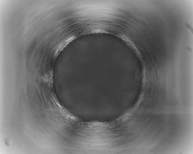 X0000100200785200806271641