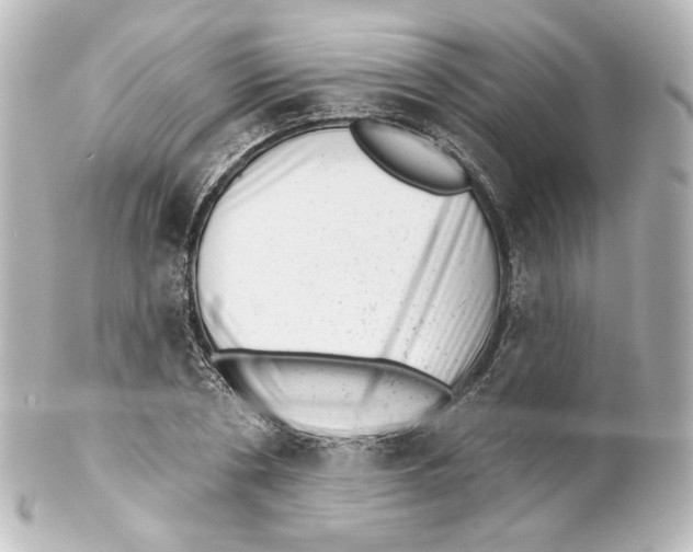 X0000100200786200806271641