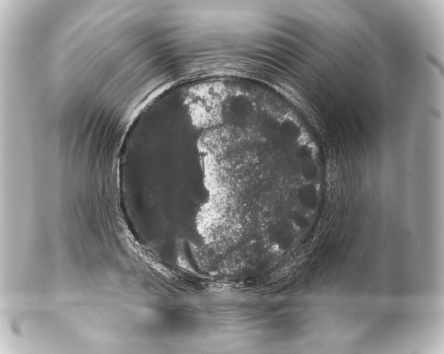 X0000100200790200806271640