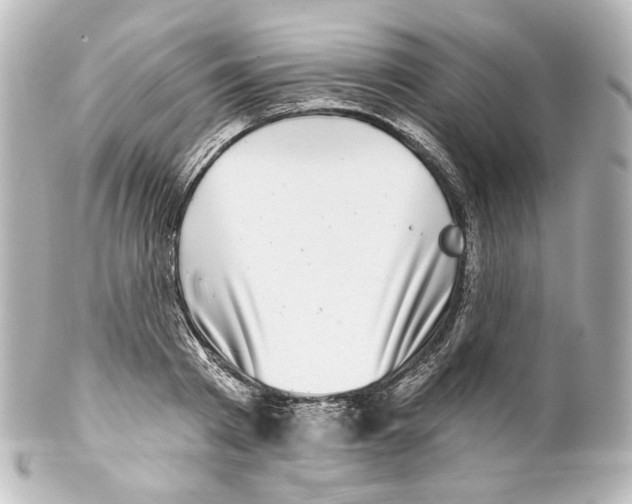 X0000100200793200806271640