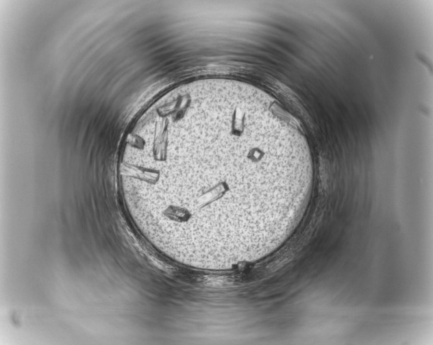 X0000100200794200806271640