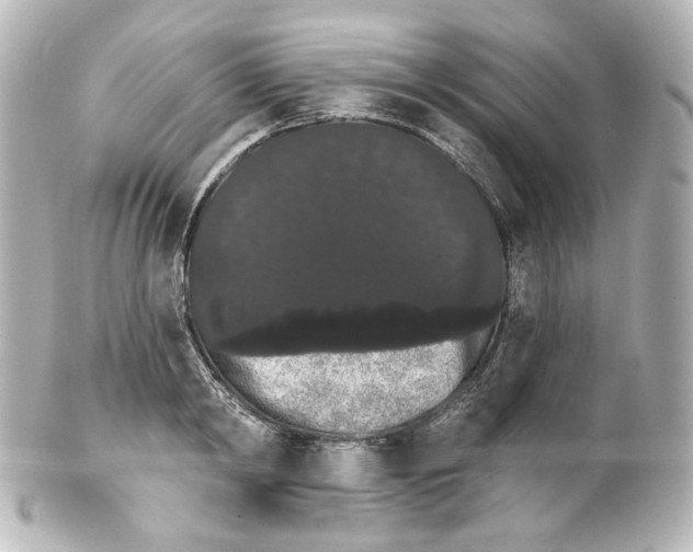 X0000100200798200806271640