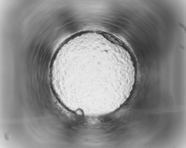 X0000100200799200806271640