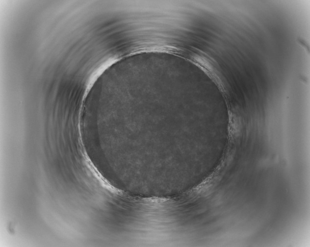 X0000100200804200806271640