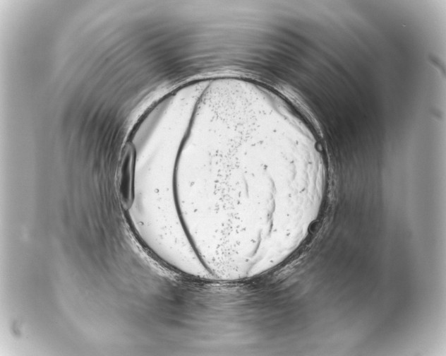 X0000100200805200806271640