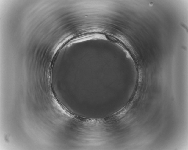 X0000100200806200806271640