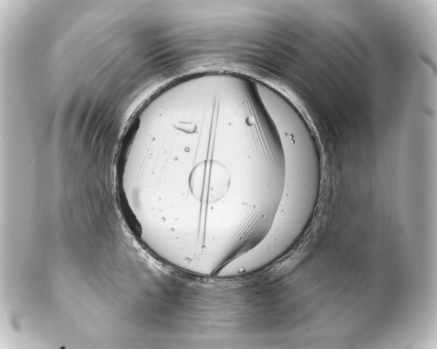 X0000100200807200806271640