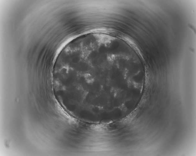 X0000100200808200806271640