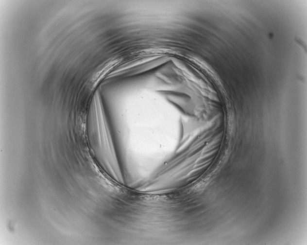 X0000100200809200806271640