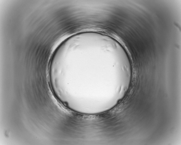 X0000100200811200806271640