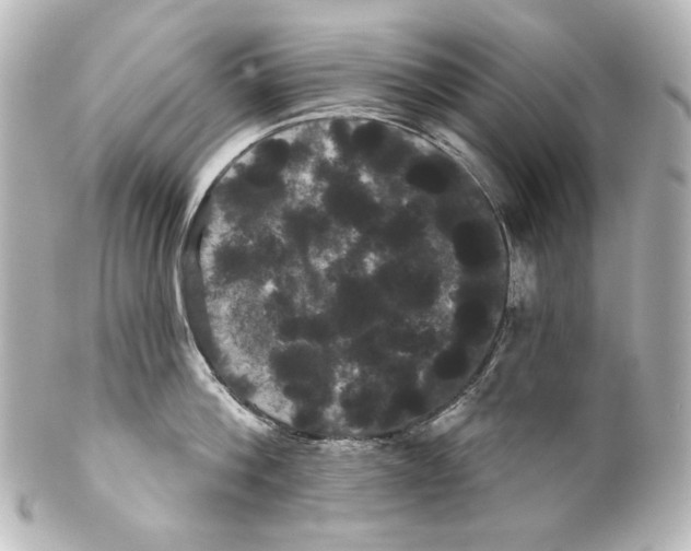 X0000100200812200806271640