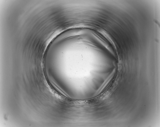 X0000100200813200806271640