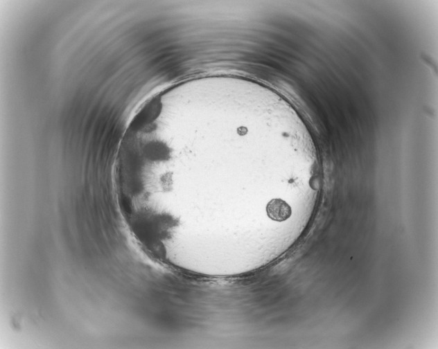 X0000100200814200806271640