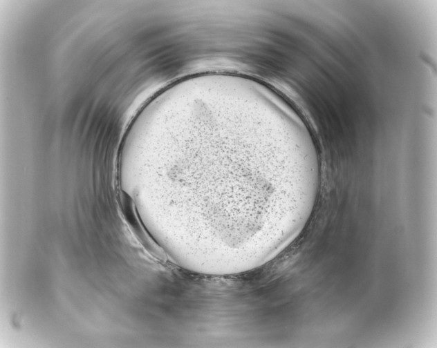 X0000100200815200806271640