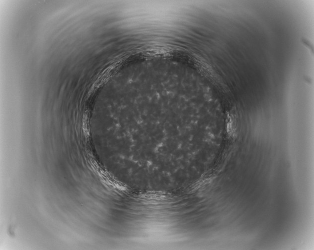 X0000100200819200806271639