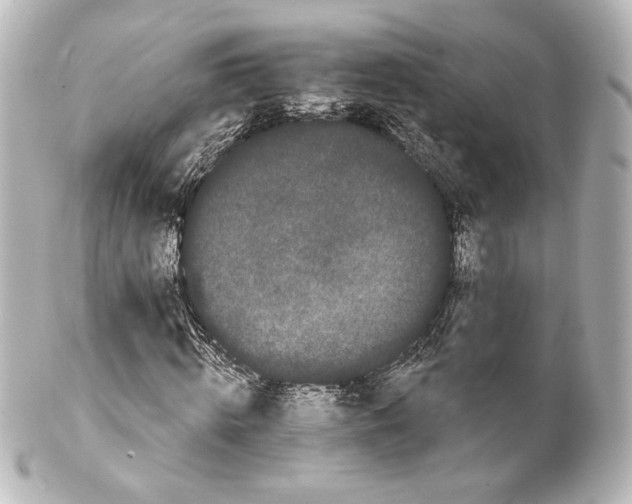 X0000100200820200806271639