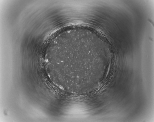 X0000100200822200806271639