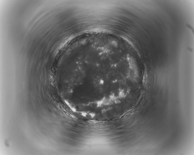 X0000100200823200806271639