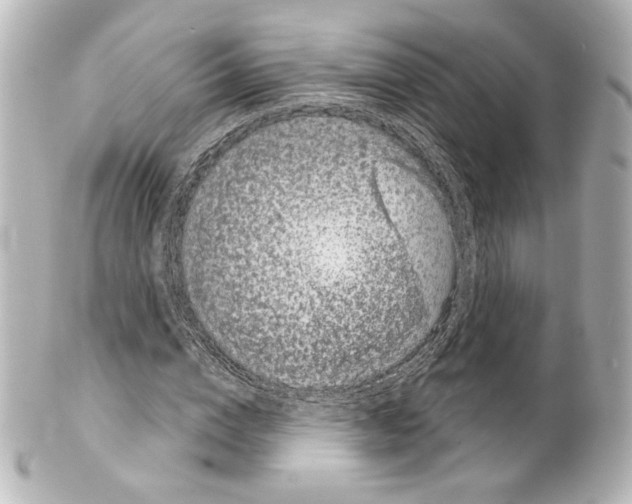 X0000100200824200806271639