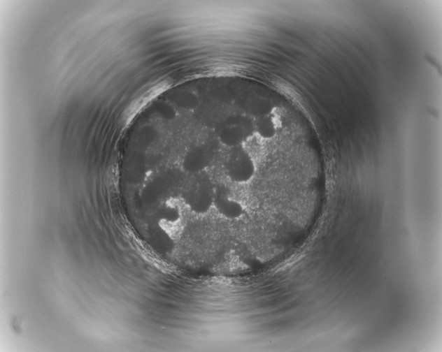 X0000100200827200806271639