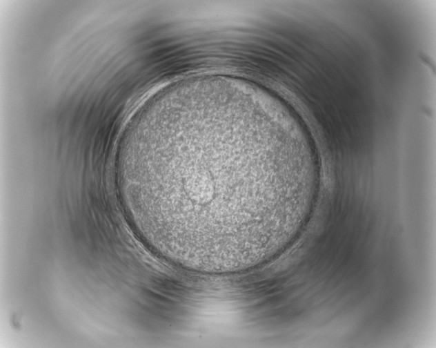 X0000100200828200806271640