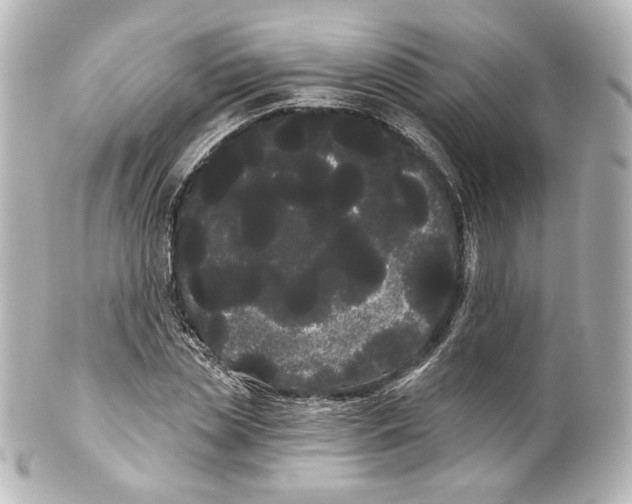 X0000100200829200806271640