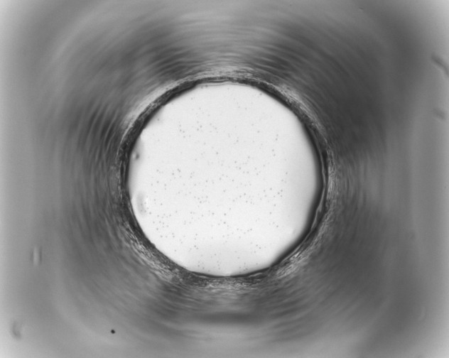 X0000100200830200806271640