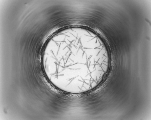 X0000100200831200806271640