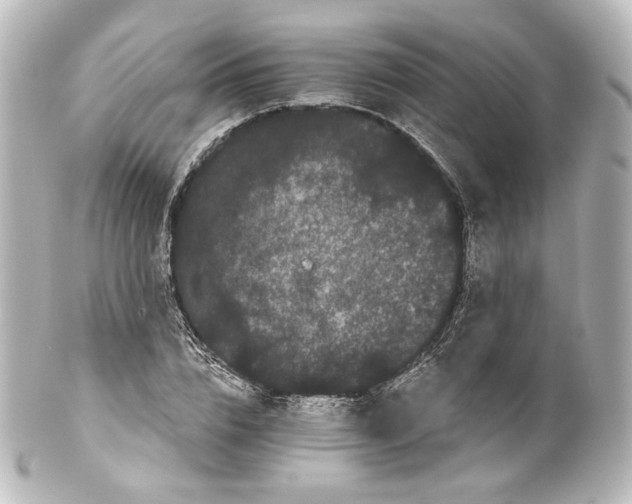 X0000100200832200806271640