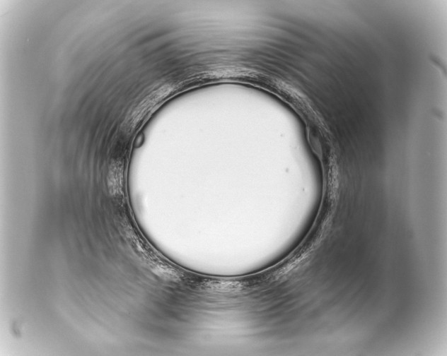 X0000100200833200806271640