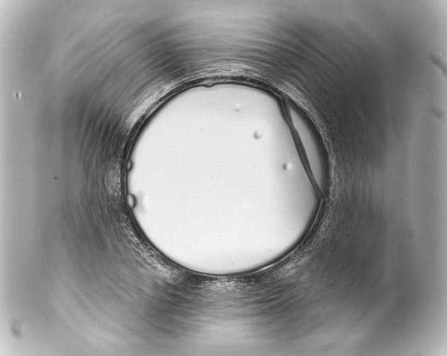 X0000100200834200806271640