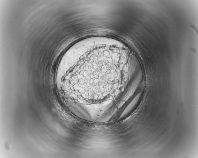 X0000100200835200806271640